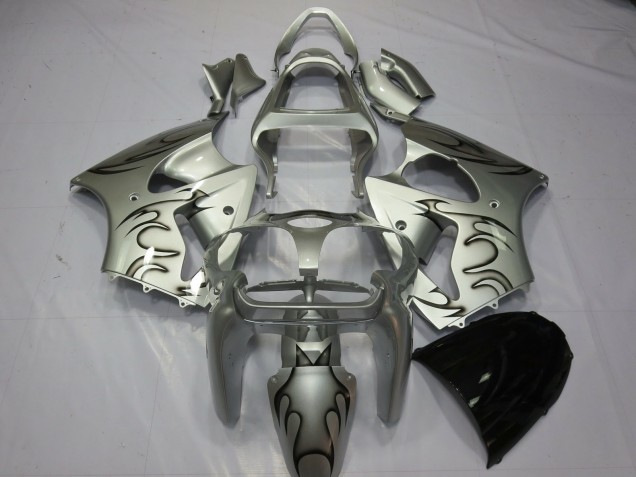 2000-2002 Silver Flame Kawasaki ZX6R Motorcycle Fairings 2000-2002 Silver Flame Kawasaki ZX6R Motorcycle Fairings